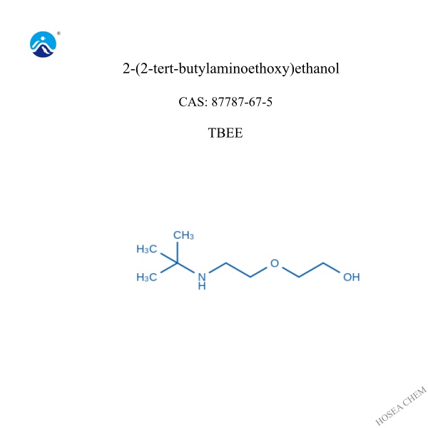  2-(2-tert-butylaminoethoxy)ethanol