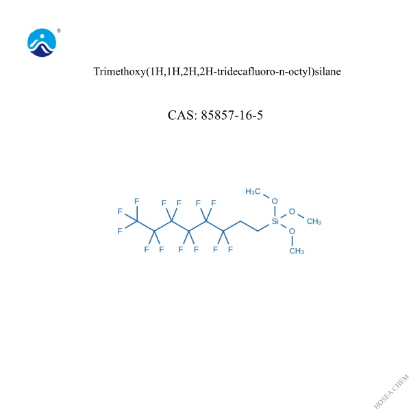  Trimethoxy(1H,1H,2H,2H-tridecafluoro-n-octyl)silane