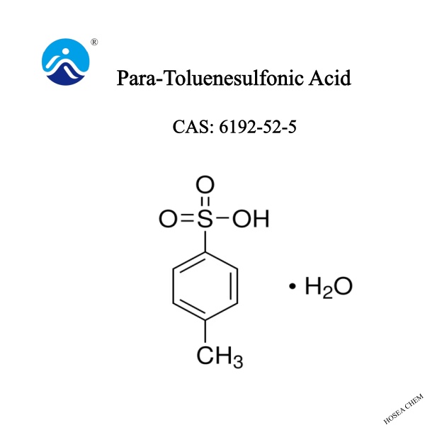  Para-Toluenesulfonic Acid