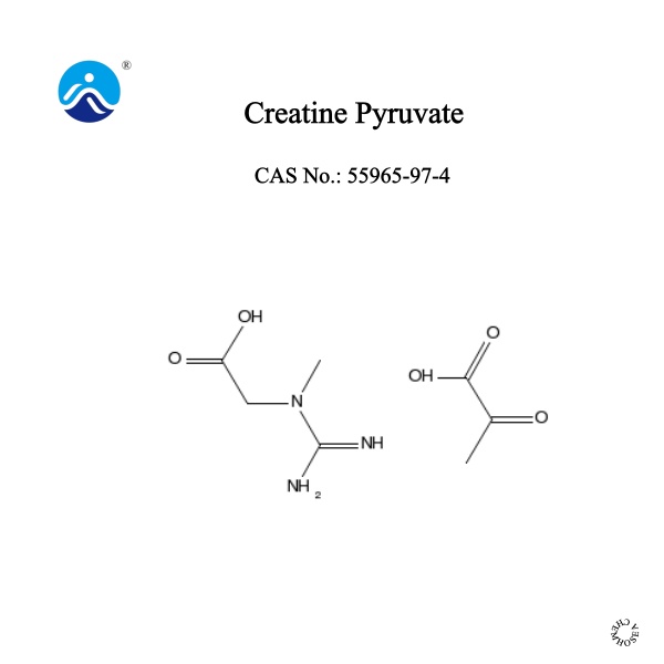 Creatine Pyruvate