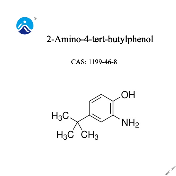 2-Amino-4-tert-butylphenol