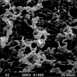 The relationship between sodium carboxymethyl cellulose and polyanionic cellulose