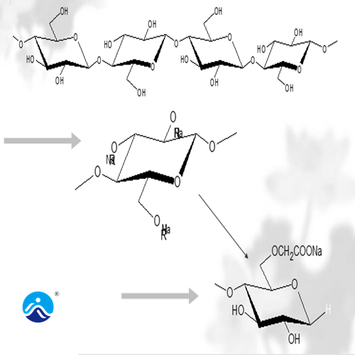 Influence of degree of substitution (DS) of sodium carboxymethyl cellulose CMC and polyanionic cellulose PAC on specific applications