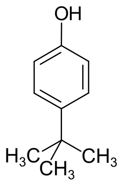 P-Tert-Butyl Phenol|CAS 98-54-4|4-tert-Butylphenol|PTBP|China|Manufacturer|Factory|Supplier-Hosea Chem