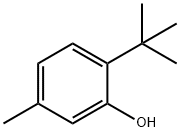 6-tert-Butyl-m-cresol, CAS 88-60-8, Molecular Formula C11H16O 6-tert-Butyl-m-cresol, CAS 88-60-8, Molecular Formula C11H16O
