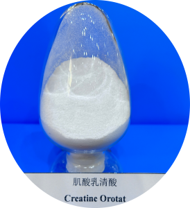 Creatine Orotate, CAS 768386-56-7, Appearance: white crystal powder