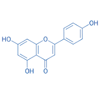 Apigenin, CAS 520-36-5, Molecular,Formula: C15H10O5 Apigenin, CAS 520-36-5, Molecular,Formula: C15H10O5