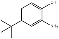2-Amino-4-tert-butylphenol, CAS 1199-46-8, Molecular Formula: C10H15NO 2-Amino-4-tert-butylphenol, CAS 1199-46-8, Molecular Formula: C10H15NO
